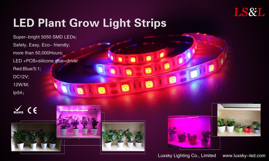 LED bitki ışıklarını büyütüyor .jpg LED grow plant lights .jpg